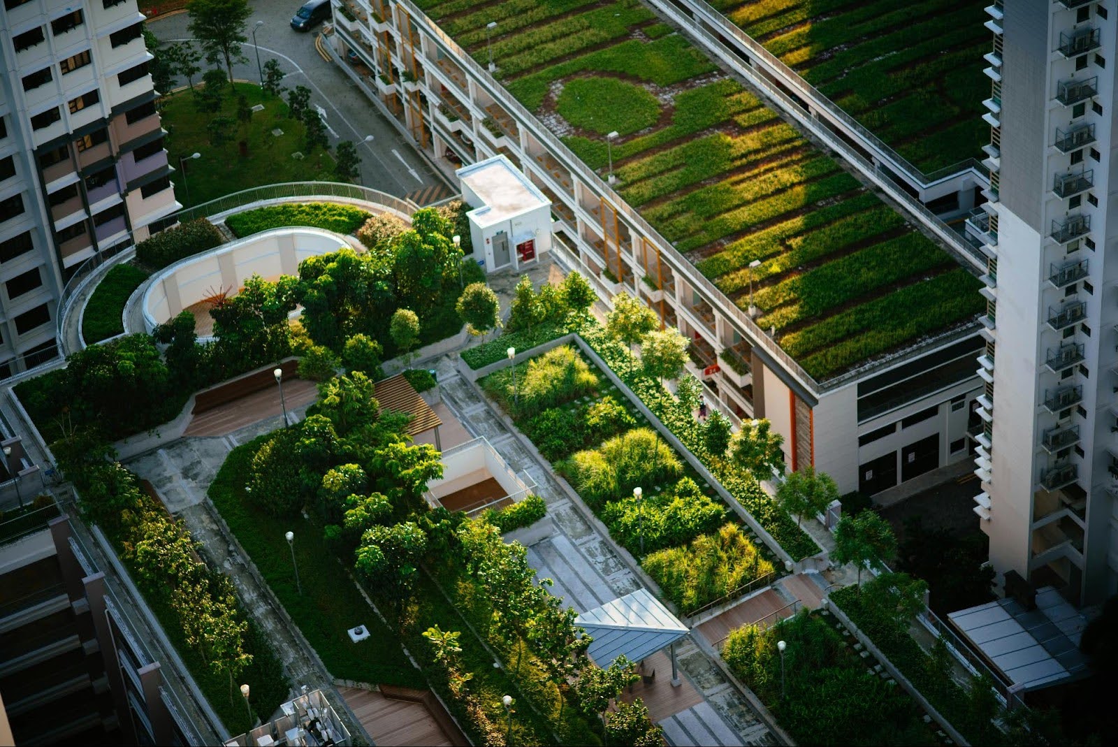 the rise of blue green roofs in sustainable urban design