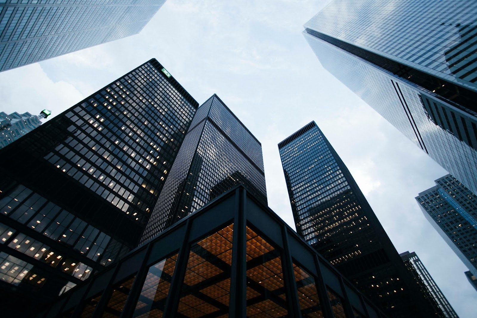 nz businesses shifts from survival mode to growth, study shows min