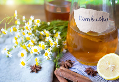 kombucha
