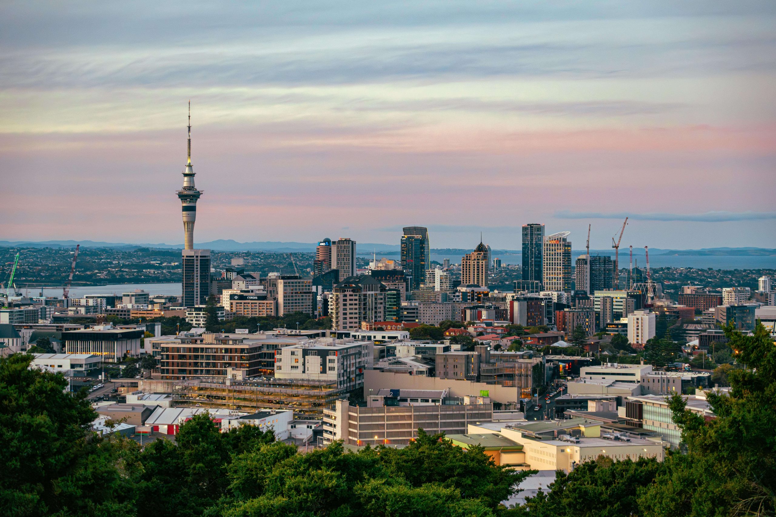 nz economy