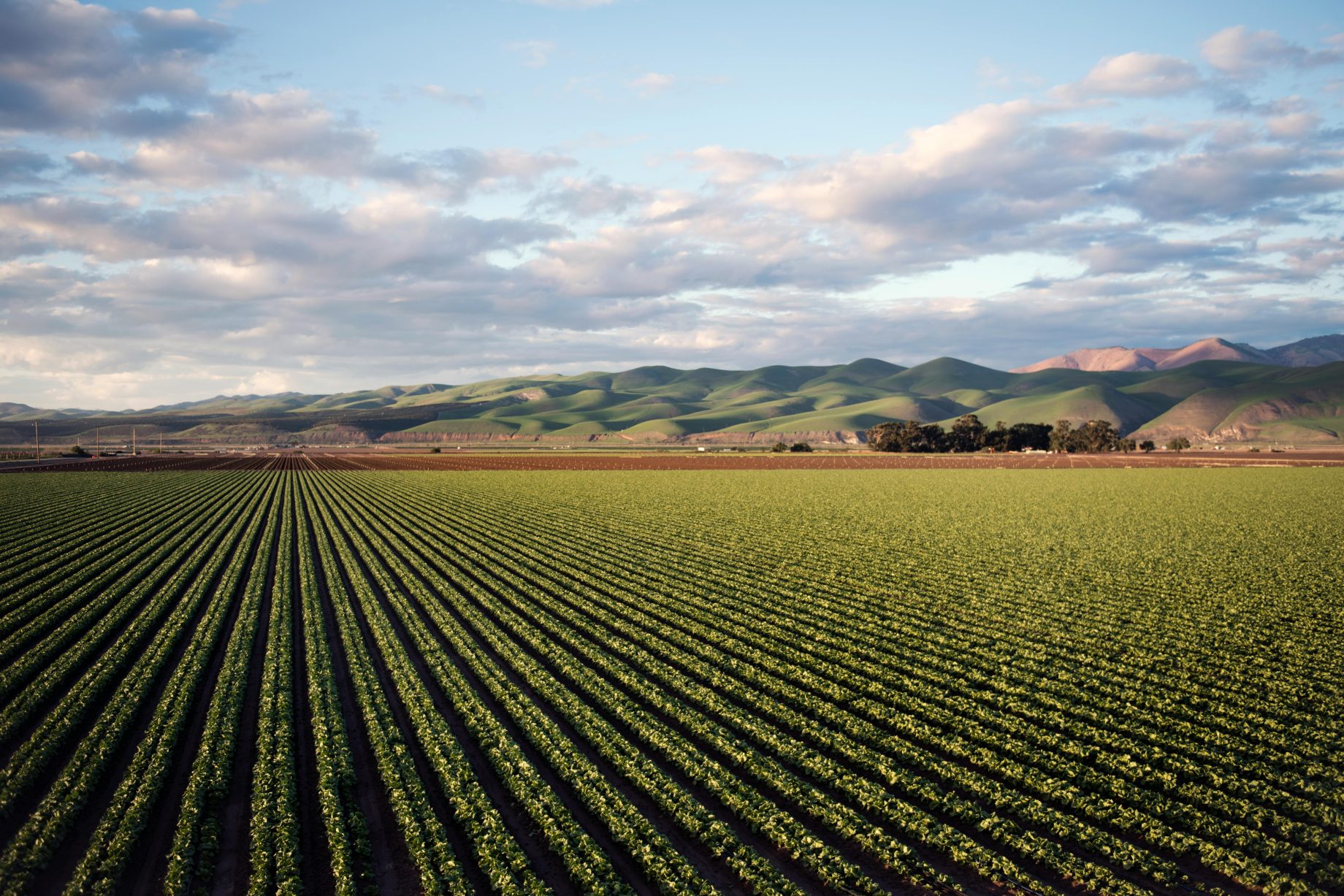 agritech