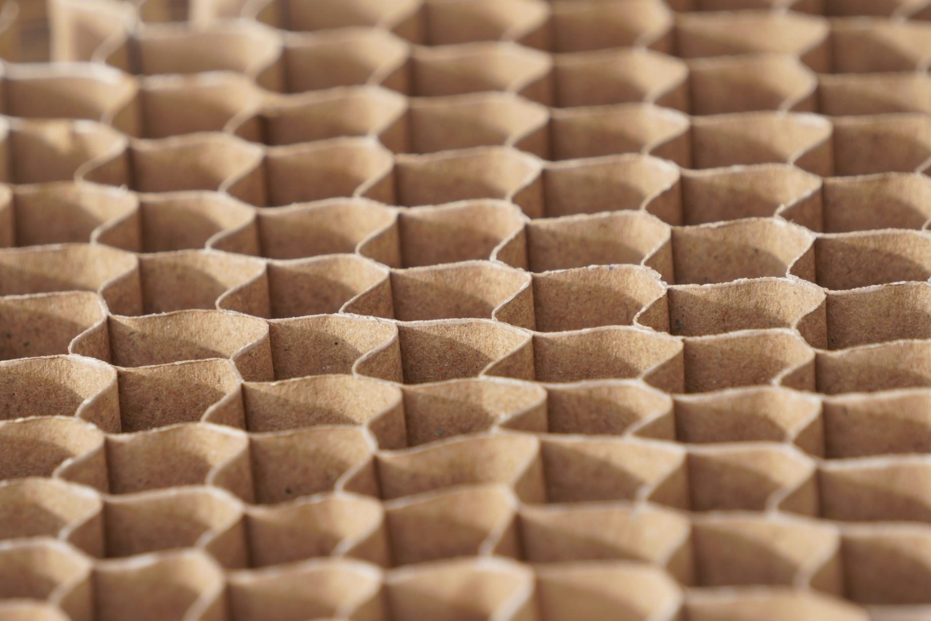 carton recycle