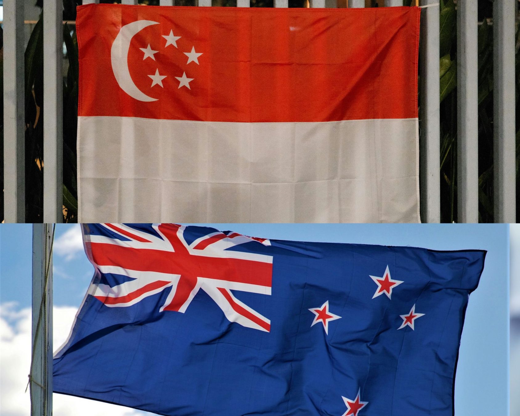 nzandsingapore