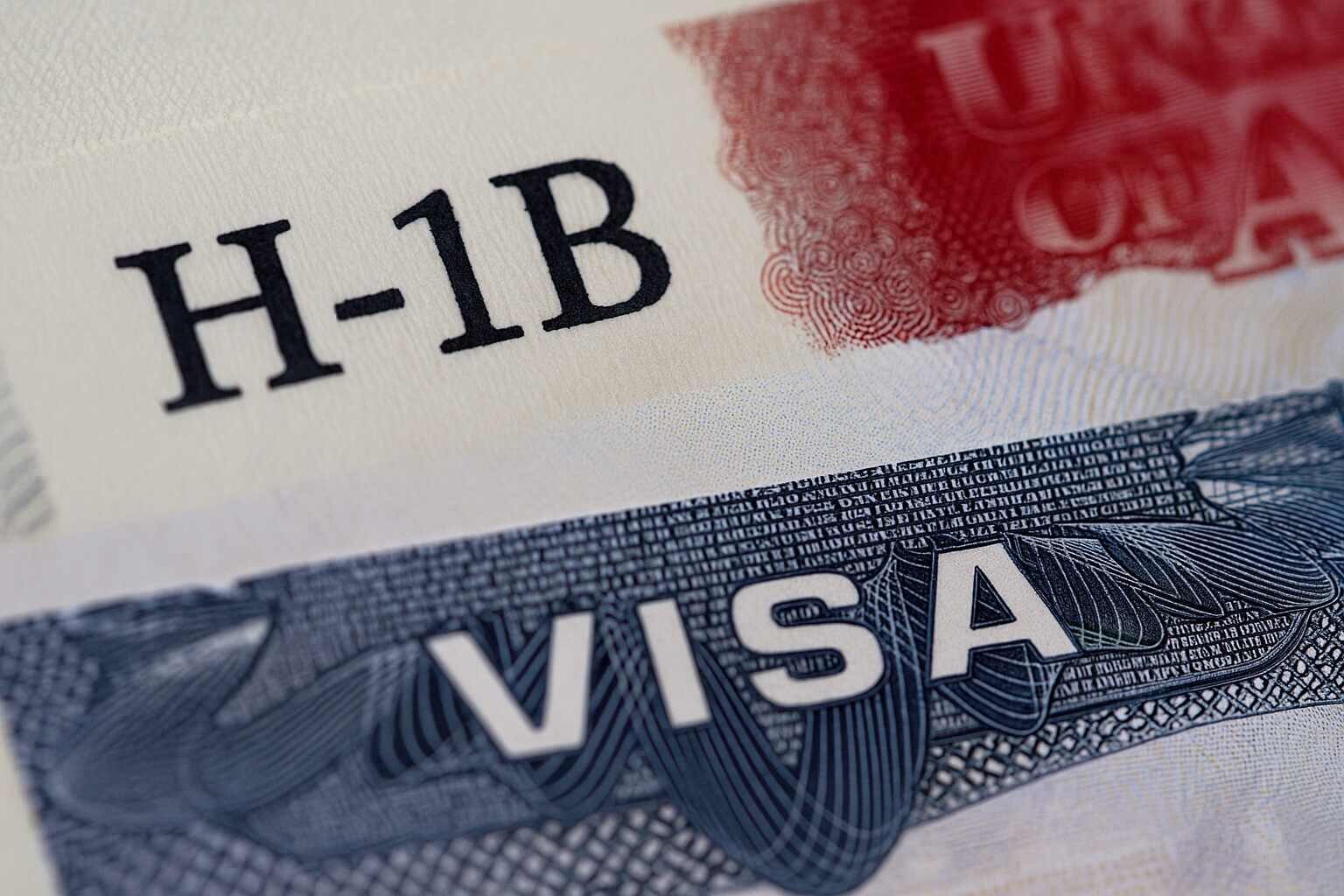 startups face challenges from new h 1b visa fee