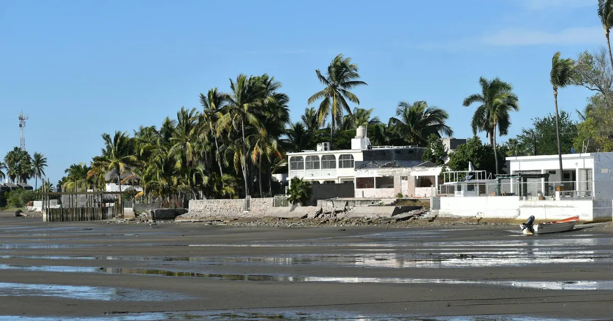 Beautiful beachfront homes with palm trees on a sunny day in Altata, Mexico.