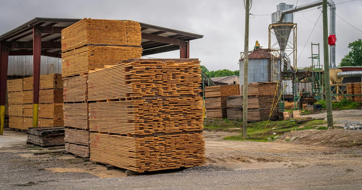 Large stacks of lumber at an outdoor sawmill processing facility.